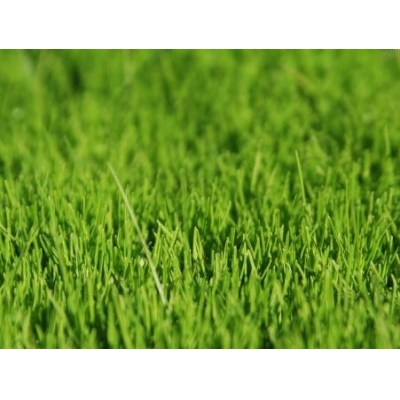 Synthetic Plants   Lawn